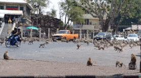 被冠以“素质低”的中国游客，如今成了一些国家最为思念的亲人