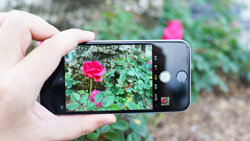 有苹果生态吗,iphonese第二代最新消息