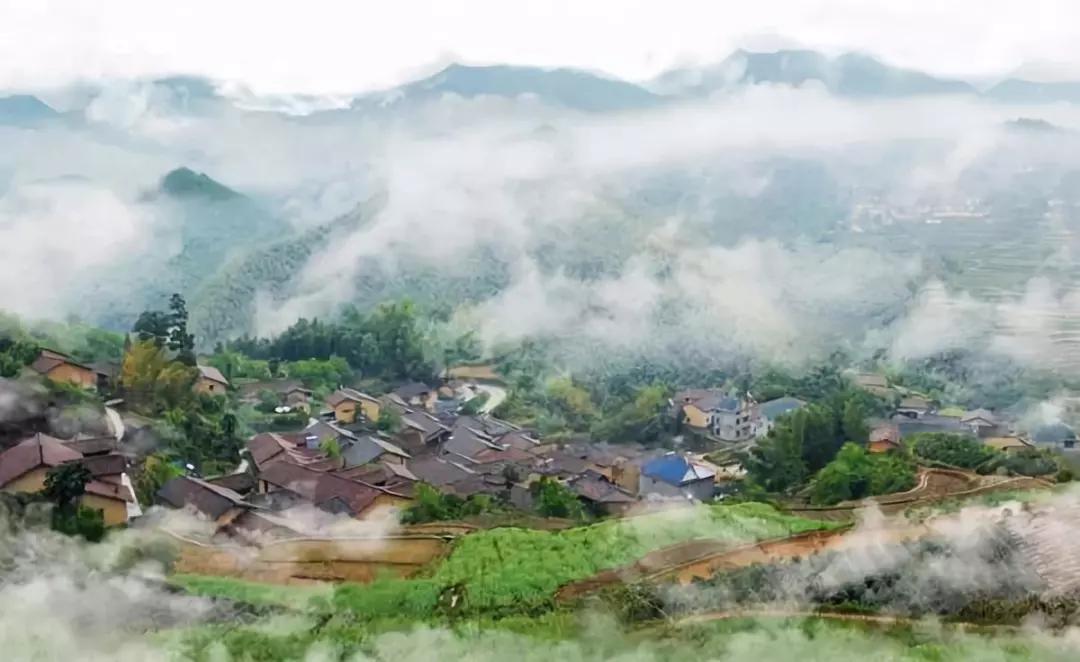 有着双重人生的小城青田，你对它的实力一无所知