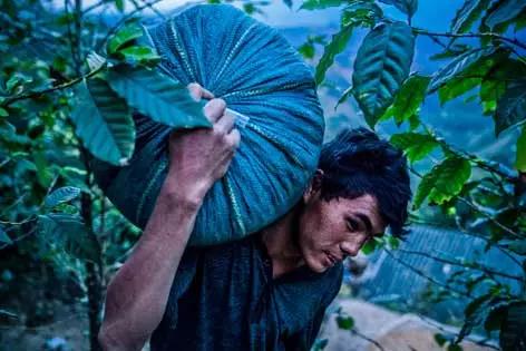 云南怒江秘境咖啡,怒江傈僳族咖啡