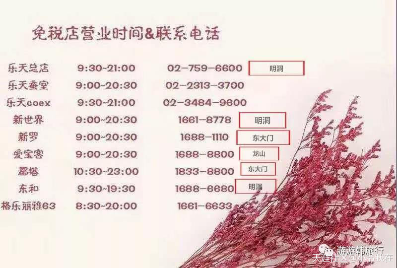 个人韩国旅游必看攻略,韩国旅游攻略推荐最新