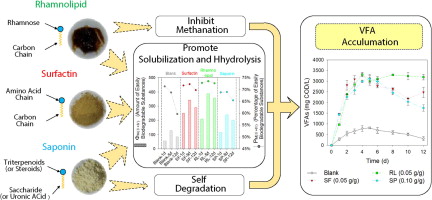 蟑螂为什么喜欢在插座底下下崽,蟑螂为什么喜欢钻入耳朵
