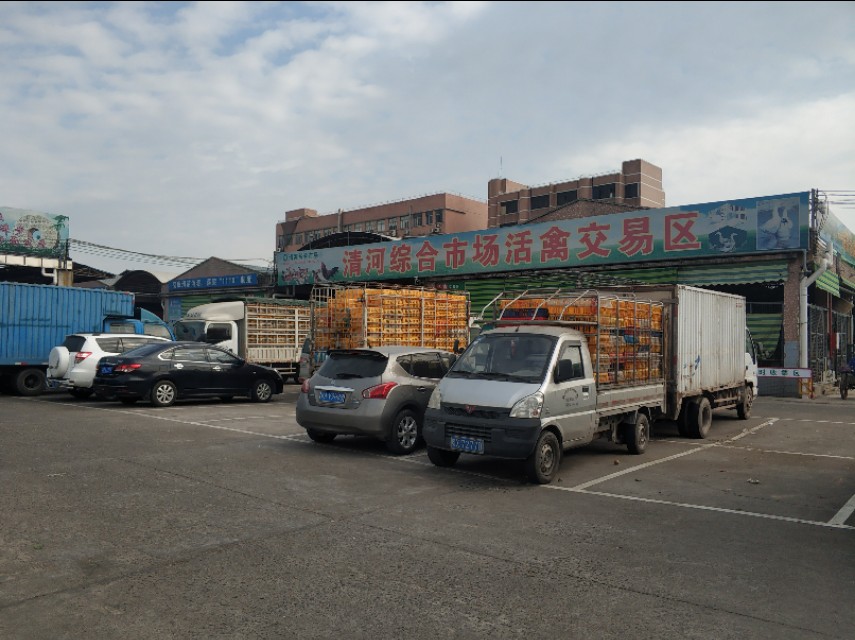 广州最大的家具城批发市场在哪里,广州最大的二手车批发市场在哪里