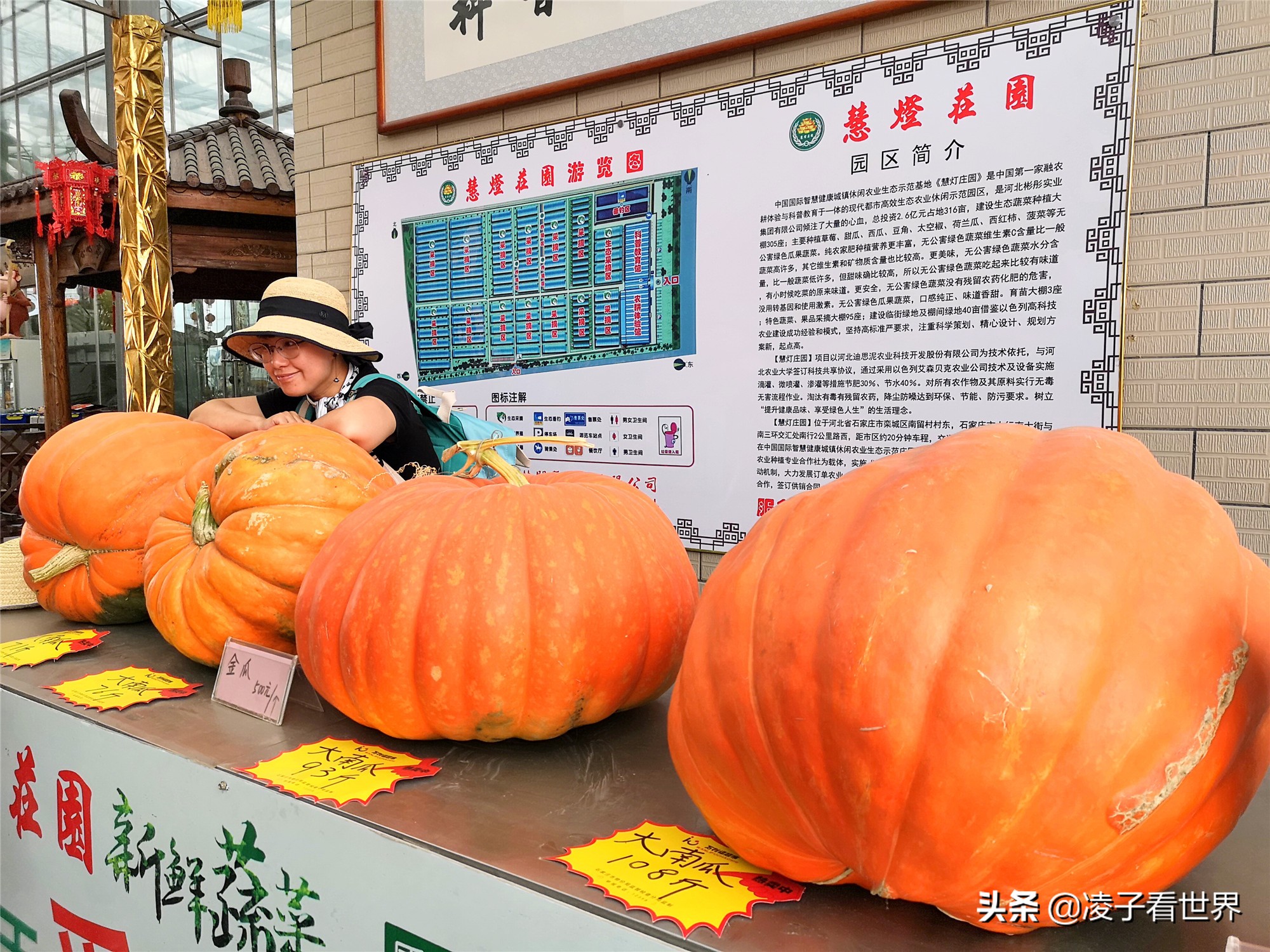 鐭冲搴勬収鐏簞鍥ソ鐜╁悧鍊煎緱鍘诲悧,鐭冲搴勬収鐏簞鍥檮杩戦噰鎽樺洯