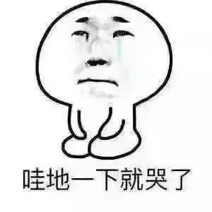 盘点十大新疆的特产,疆藏特产