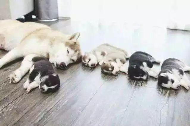 妈妈不得错过的接种疫苗小知识,关于乙肝疫苗接种知识