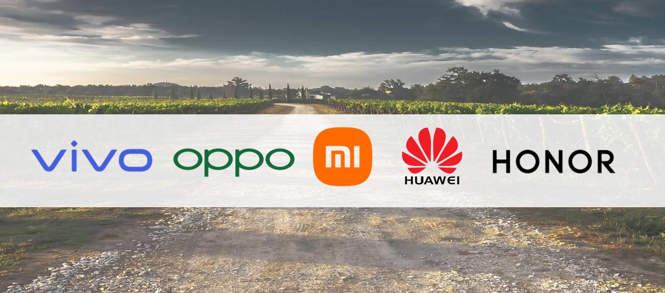 小米要回农村,小米再次回到家乡