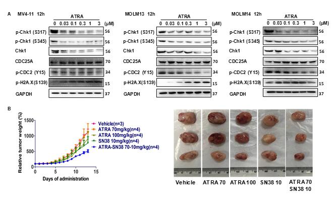 厉害了！安徽可以招生研究生的的2所研究院，涵11个研究单元