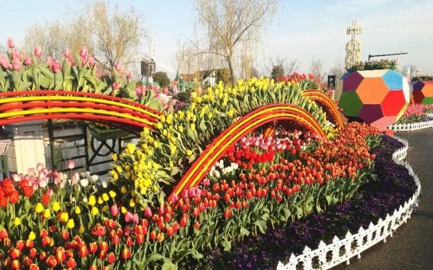 江苏盐城和泰州哪个发达,扬州和盐城哪个更有发展潜力