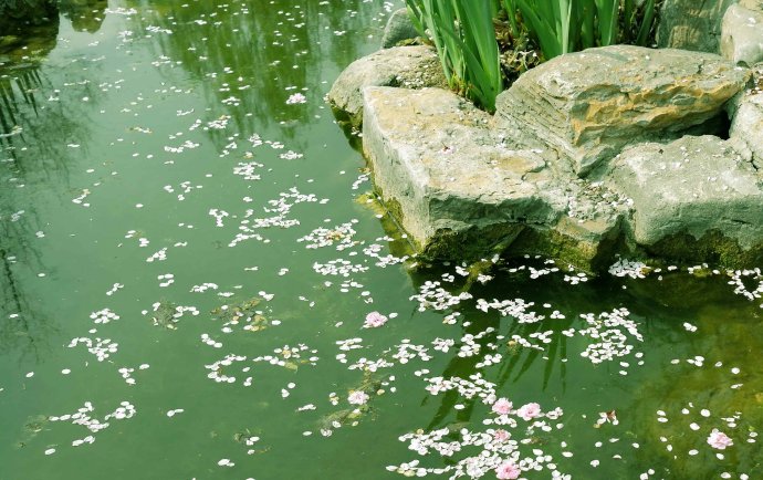 《说文解字》第124课：了解字义，“釆”和“采”就不会搞混了