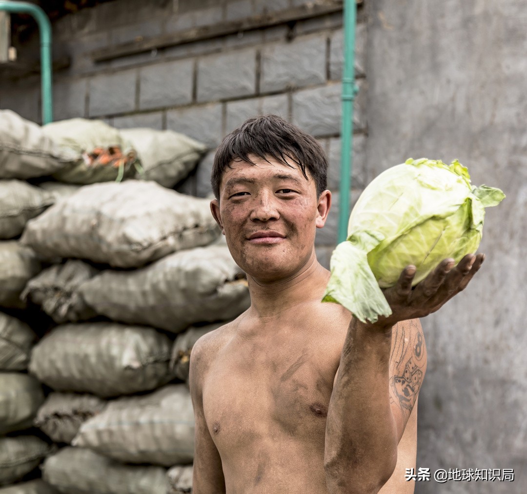蒙古国农业潜力,蒙古国为什么适合发展畜牧业