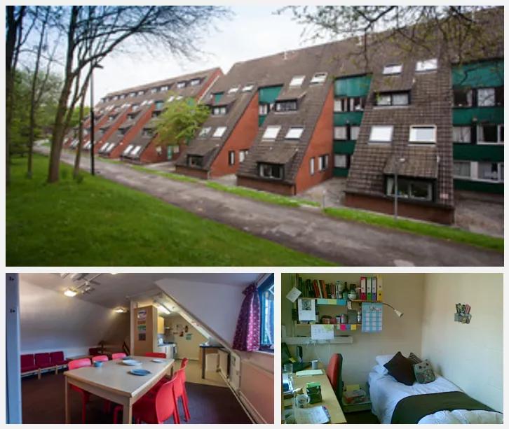 英国留学曼彻斯特大学如何,最受学生欢迎的英国大学top盘点