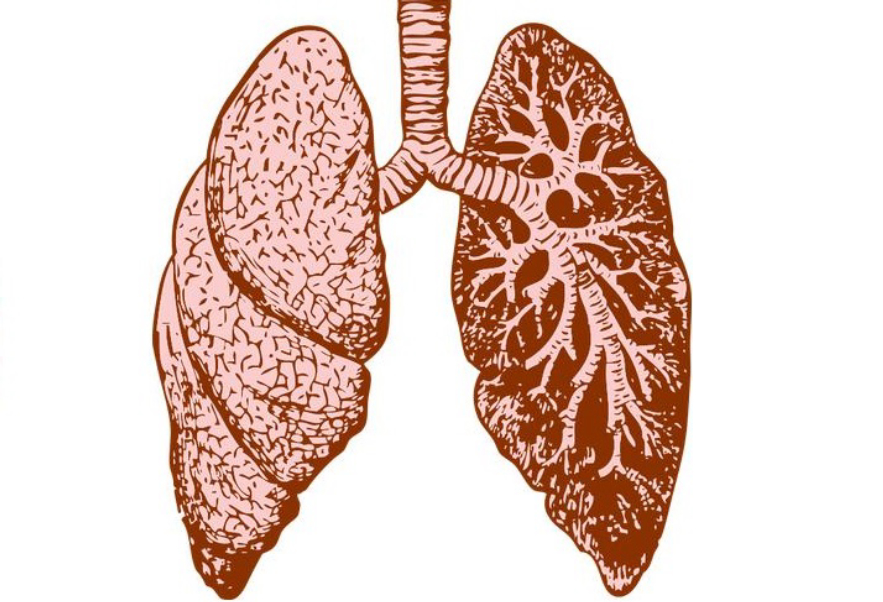 水蛭被吃进肚子里会存活吗,将水蛭放入冰箱还能活