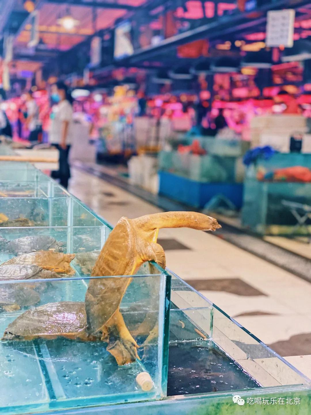 朝阳区海鲜市场,北京朝阳区海鲜市场