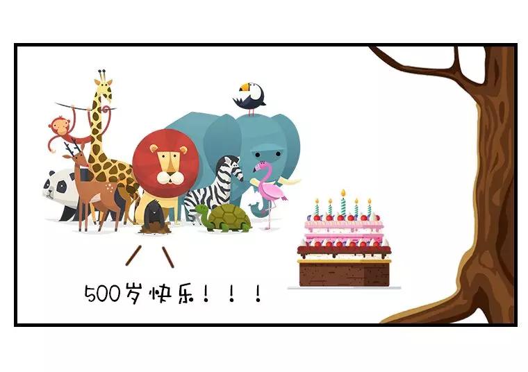 一棵红豆杉图片,一棵红豆杉