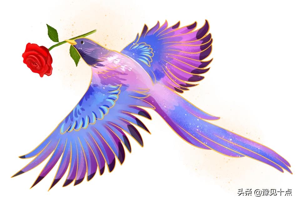 锦艺城七夕,锦艺城七夕活动