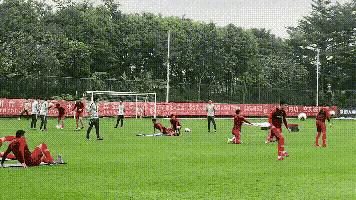 董路对足球青训贡献,董路谈足球文化缺失