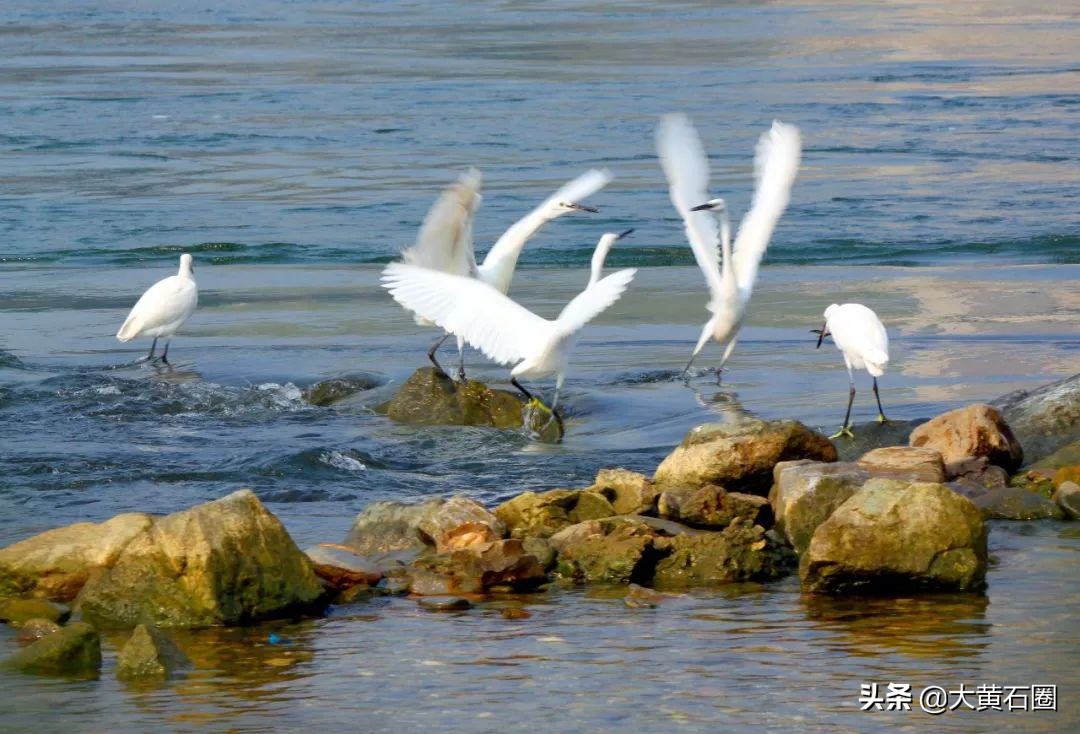 湖北有哪些县市风景最好,湖北有什么山水风景