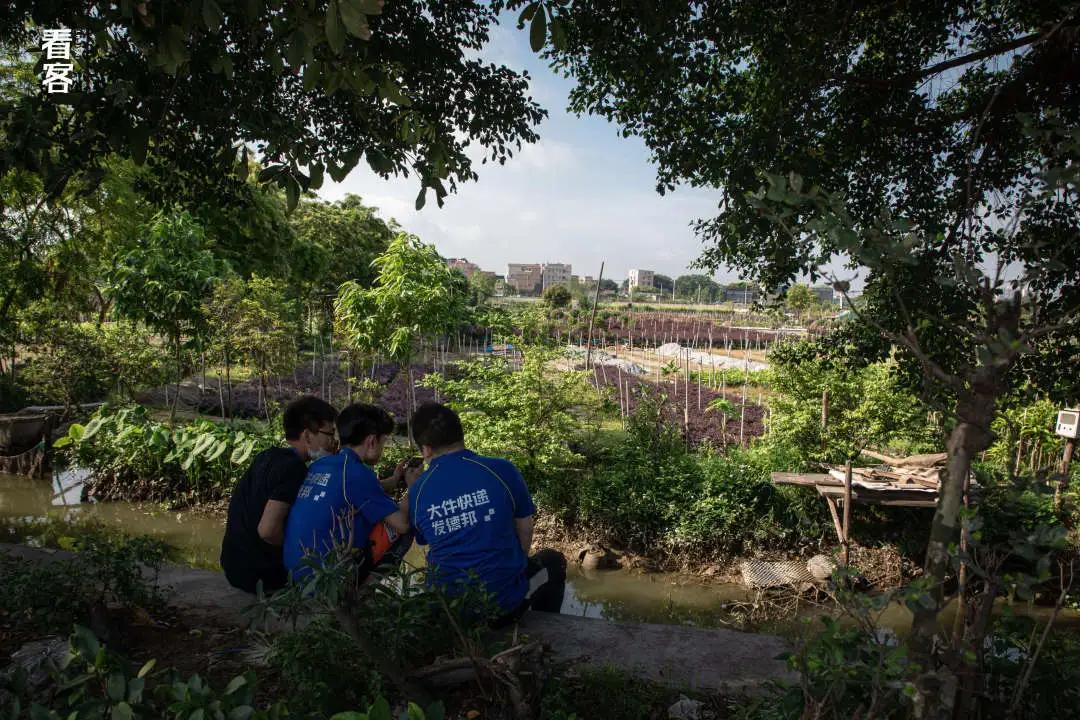 物流分拣每天的工作,物流分拣真实经历