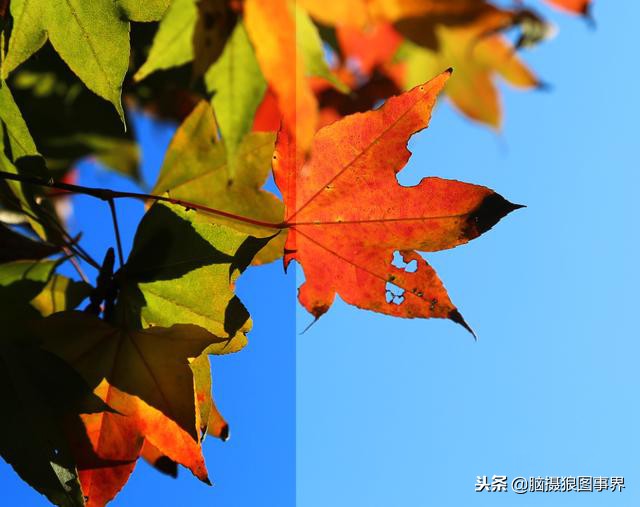 ps中的四类蒙版怎样应用,photoshop中如何添加蒙版