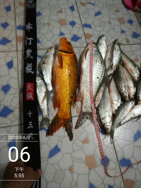 本汀太极黑棍7.2,本汀太极黑棍测试