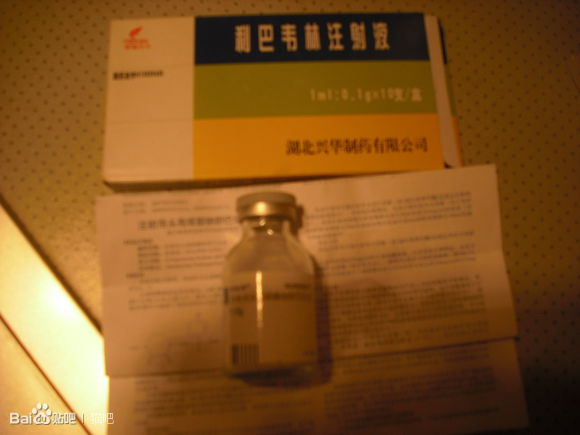 猫咪口腔溃疡最简单的治法,猫咪口炎口腔溃疡怎么治