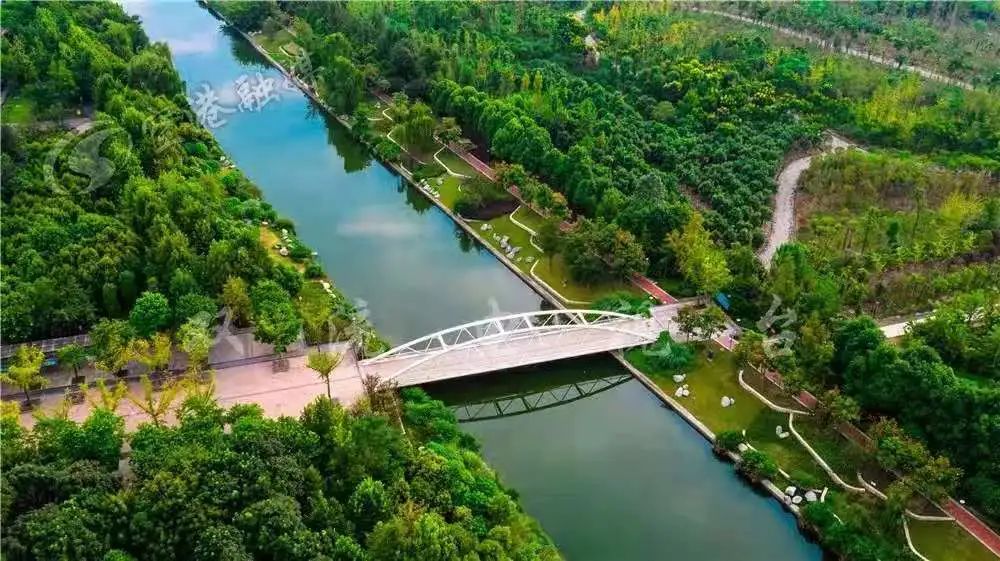 全长240公里的锦江绿道！太震撼了