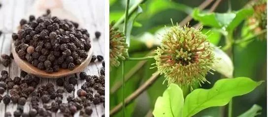 柔佛马来西亚第二大城市,投资马来西亚东方城靠谱吗