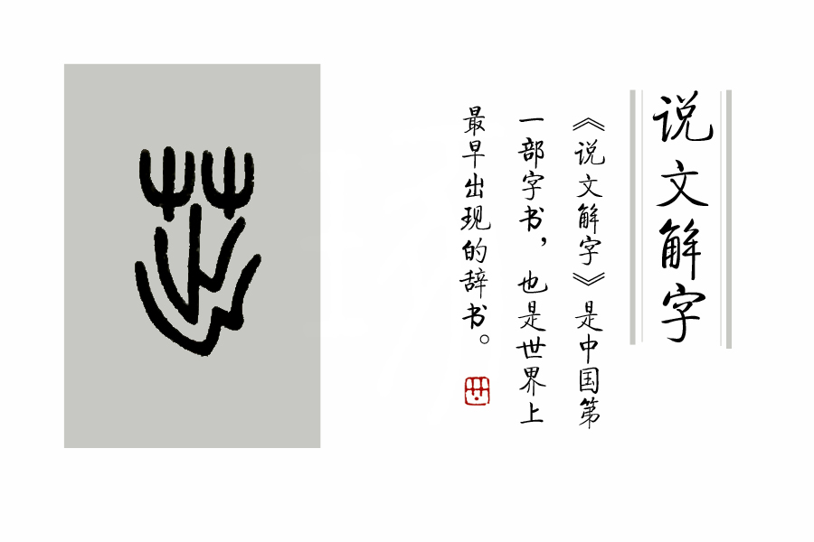 汉字说：“萌”和“芽”的区别是什么？