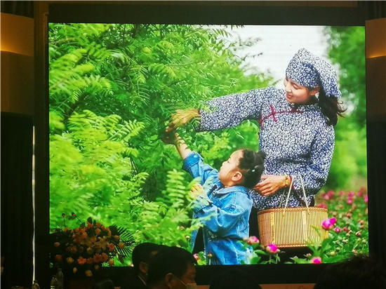 邱县第五届文冠果花节,邱县文冠花节掠影