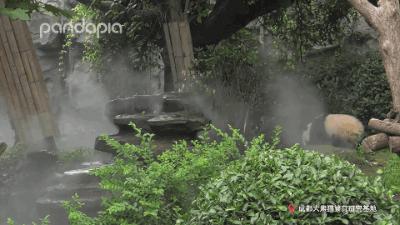 鍥藉疂缇庣櫧,鍥藉疂鐢ㄧ殑缇庣櫧闈㈣啘