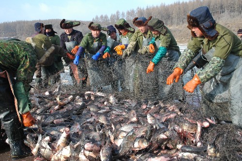乐拼司导专车带你玩转哈尔滨之冬季篇