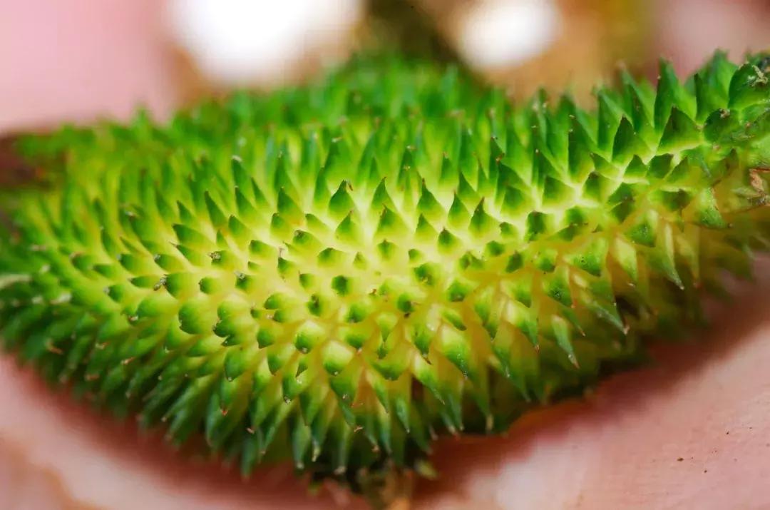 他的工作是厨师的英文,他的工作是什么英文句子