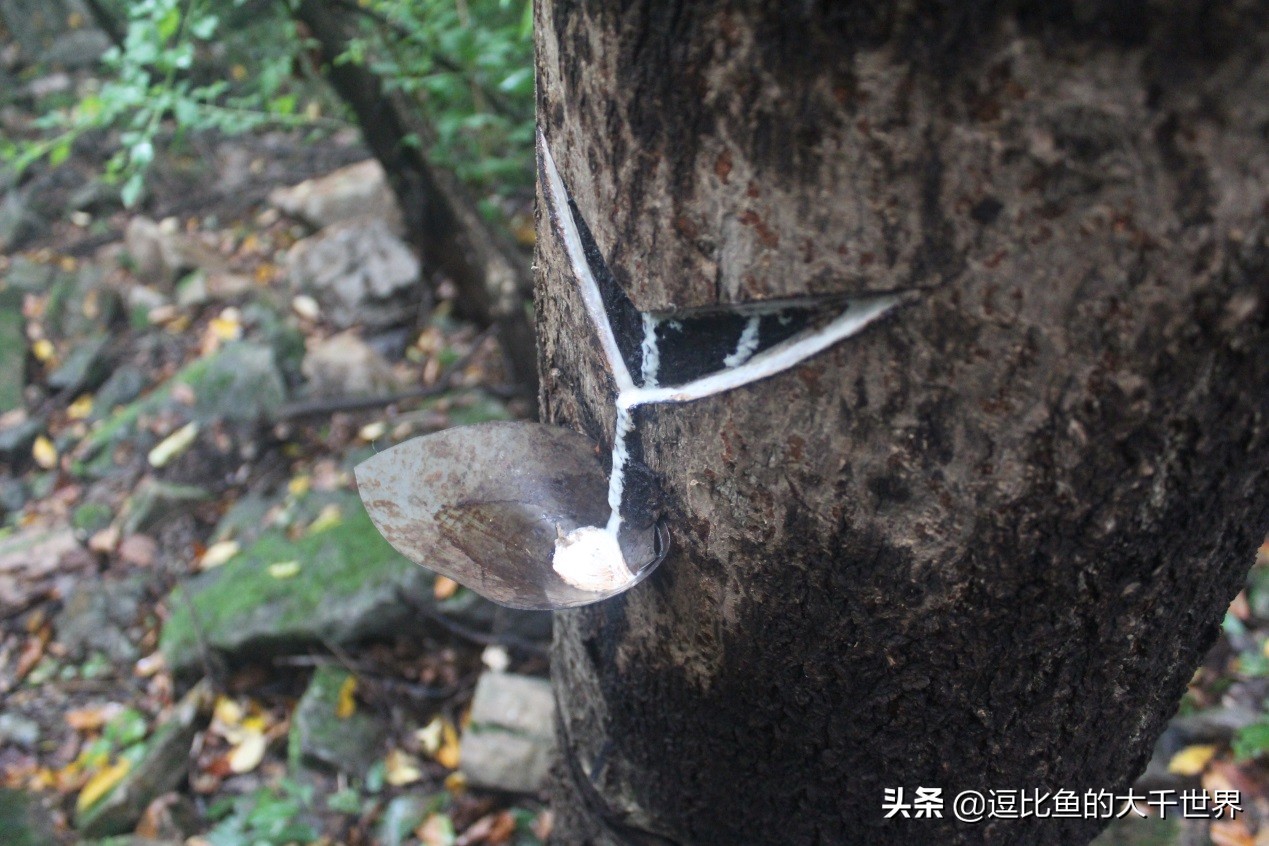 八大传统雕漆,北京雕漆精髹细琢的皇家技艺