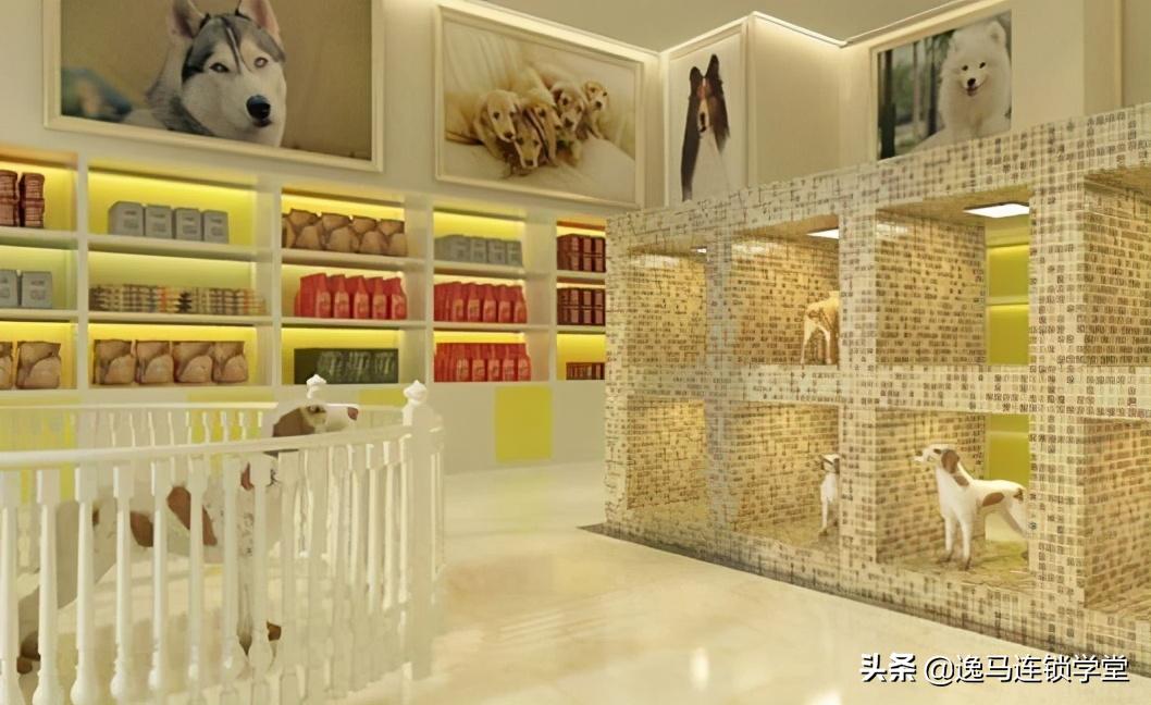 开宠物店基本要懂的宠物店投资,宠物店连锁需要什么条件