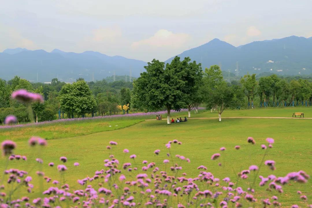 搞快点是哪里方言,搞快点