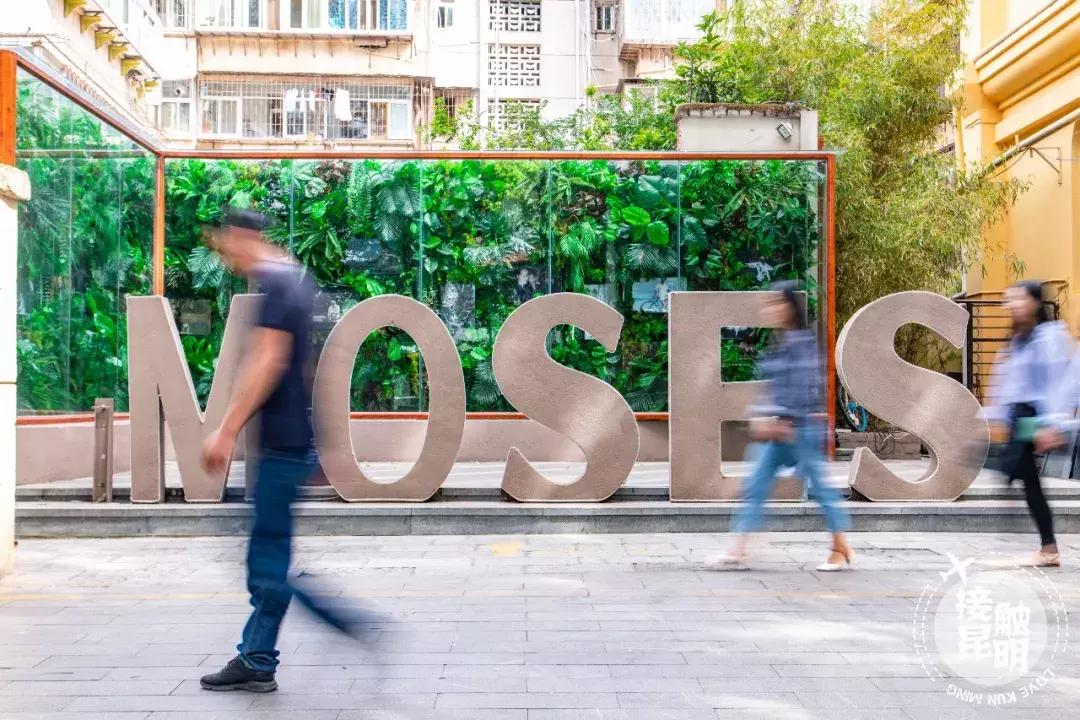 昆明富人住哪个区,住在昆明翠湖是怎样的体验