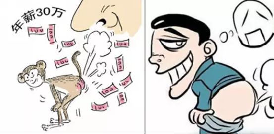 成都“养牛人”火了阴间设计师、闻屁师等职业或成“潜力股”