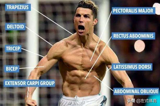 荷尔蒙炸裂!31岁莱万露恐怖麒麟臂:魔鬼筋肉人身材不输C罗