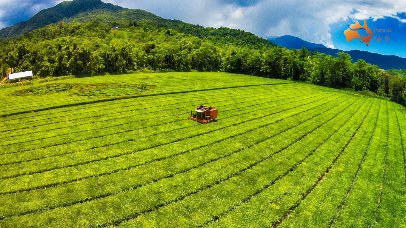 果小姐的旅游日记,澳洲自驾一日游攻略