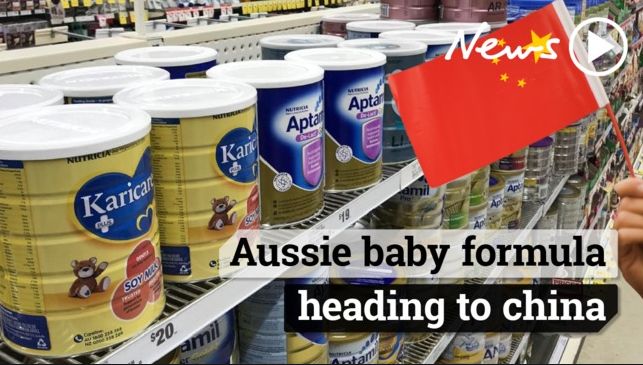 coles鍏ㄨ剛鐗涘ザ浠ｈ喘,coles婢虫床鐗涘ザ