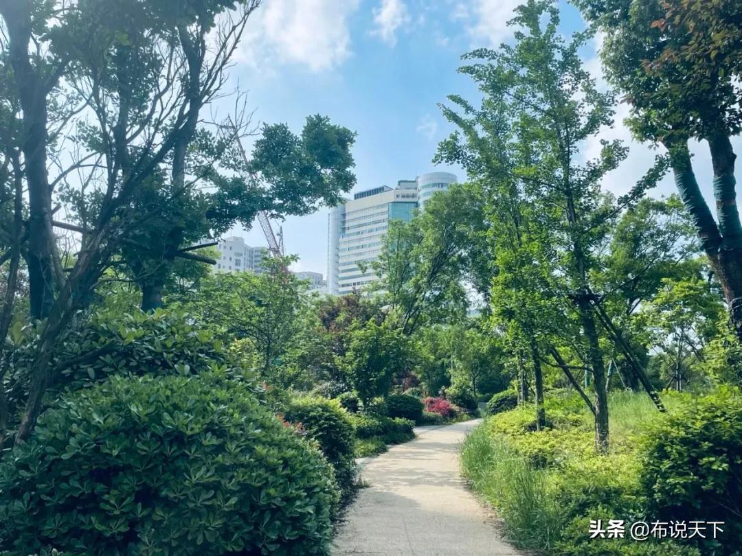 新楼盘首开爆火视频,长沙地铁3号线旁新楼盘