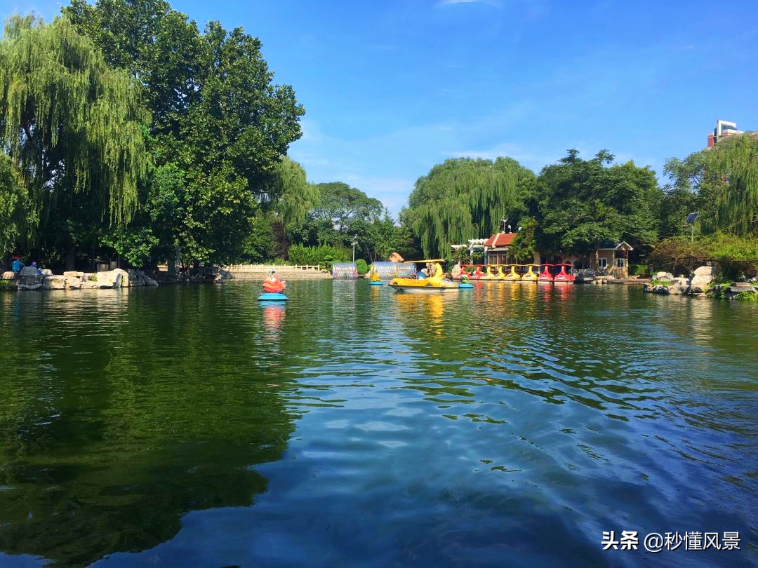 济南秋季周边遛娃景点推荐,济南周末看花遛娃