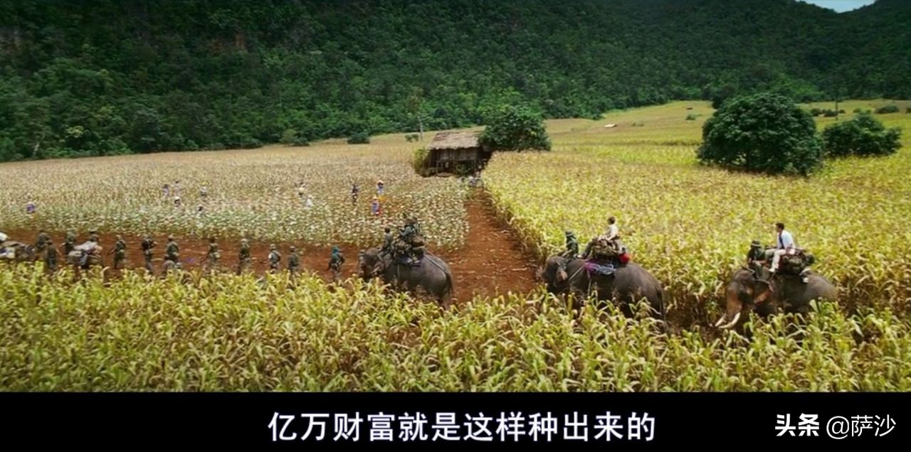 门徒电影深度解析,电影门徒反映了什么