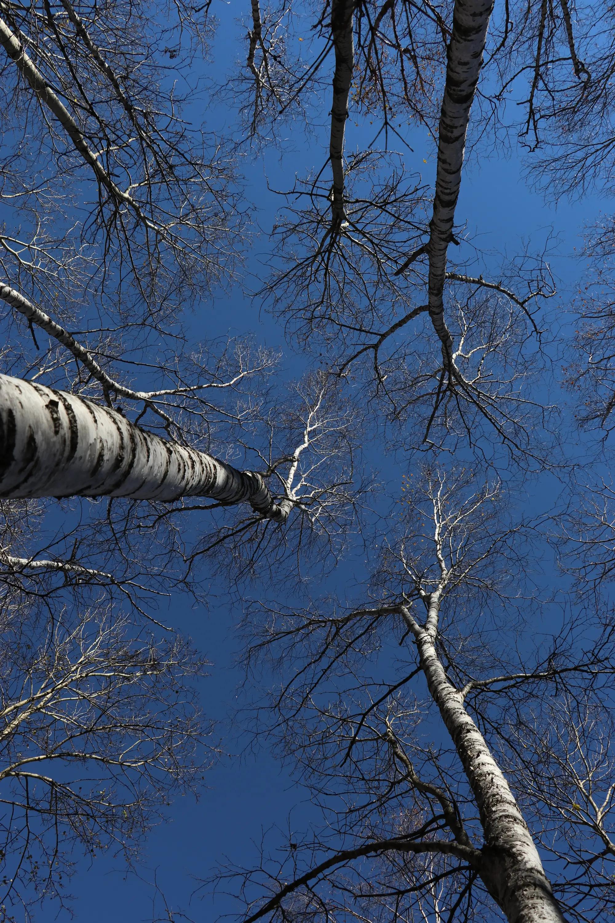 怀柔喇叭沟门原始森林2日自驾游,怀柔喇叭沟门原始森林骑行