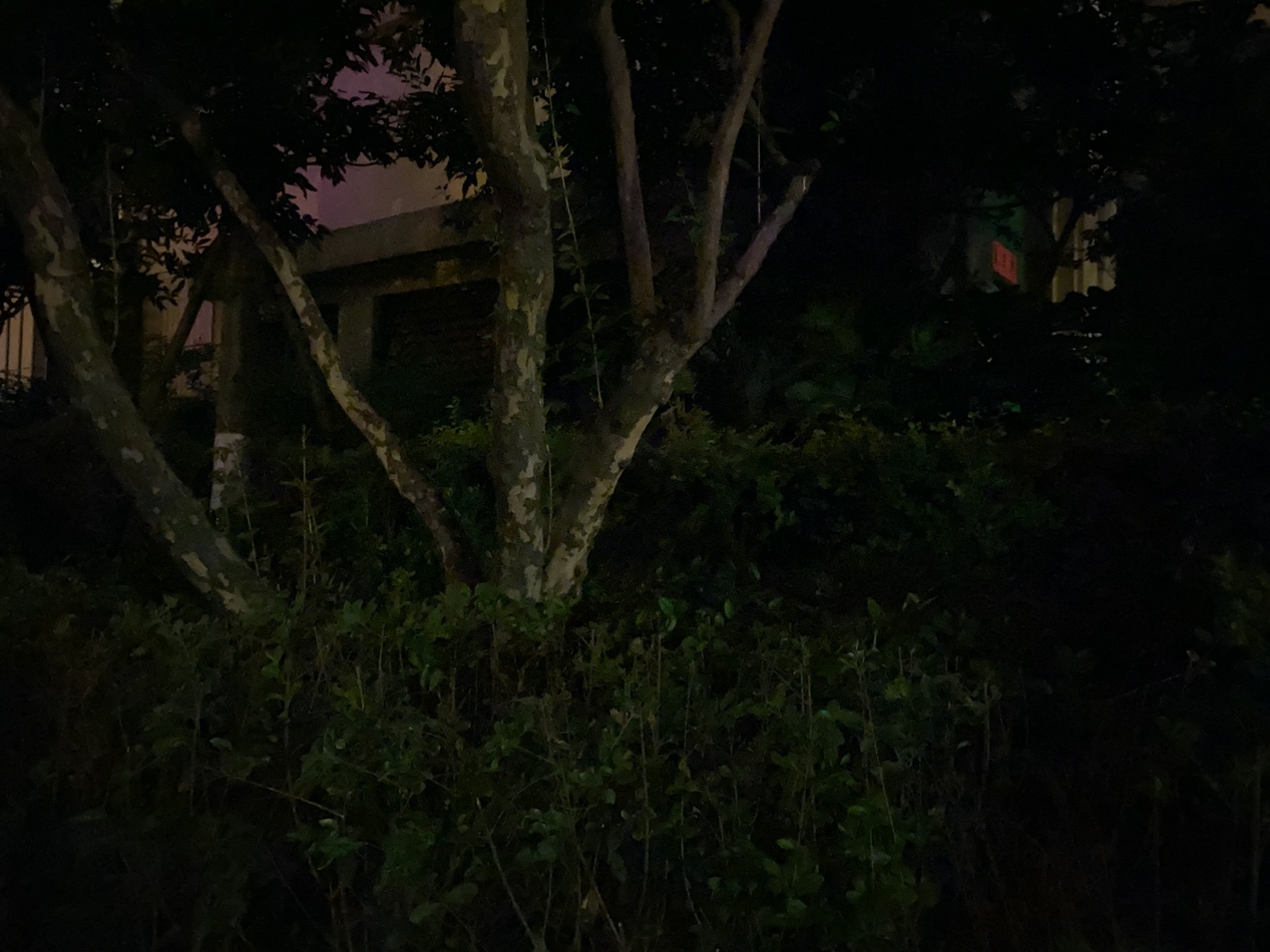 荣耀30pro拍照对比苹果,荣耀30pro对比小米11拍照