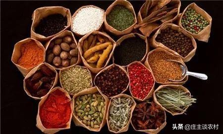 香料的正确使用方法和注意事项,卤水加桂皮的正确方法