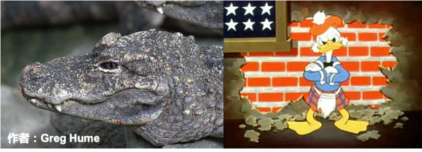 搞笑诺奖：在充满氦气的房间里来上一段B-BOX会怎样？