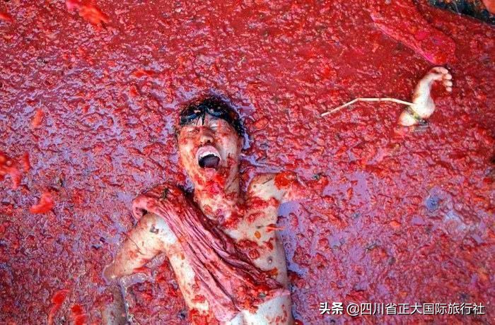 世界行为迷惑大赏,世界迷惑行为大赏解说