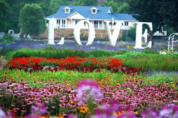 休闲农业特色案例,创意田园休闲农业